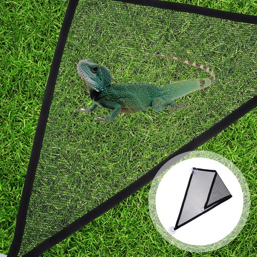 2pcs hanging reptile pet - reptile,