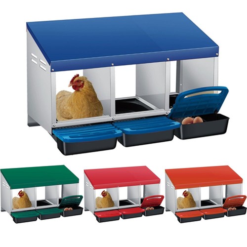 Holes chicken nesting - chicken,
