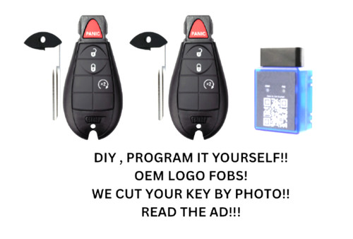 Diy pair oem ram - pair,
