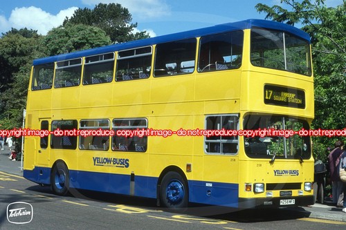 Bus photo yellow buses - -,