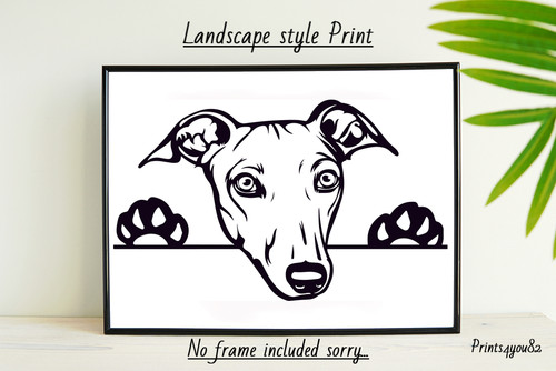 Greyhound dog pet picture - greyhound,