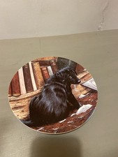 Wedgwood Labrador Retriever