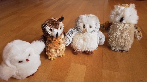 The owl babies plush - the, toys