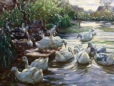 DUCKS ON THE DOCK A. Koester