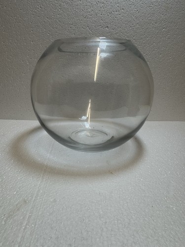 Glass fish bowl terrarium - fish,
