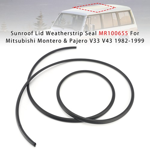 Sunroof weatherstrip seal - sunroof,