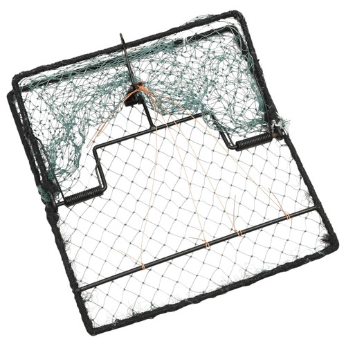Bird trap humane live - bird,