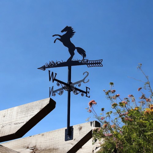 Metal rearing horse equine - rearing,
