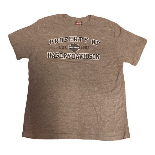 Harley davidson hot - harley,