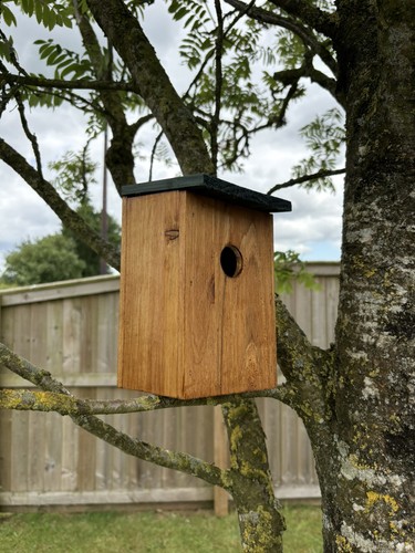 Bird nesting nest - box, wooden