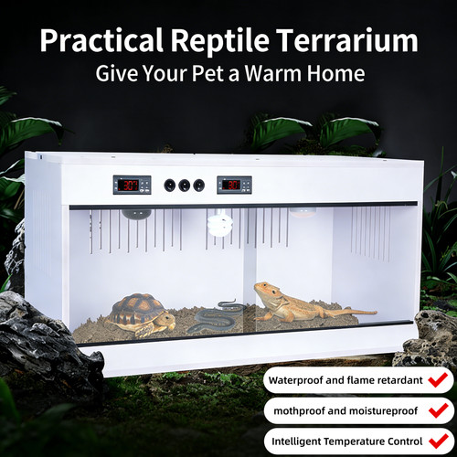 Reptile terrarium enclosure - reptile,