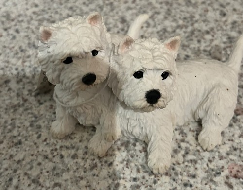 Border fine arts - dogs, &