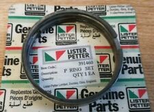 391460 Genuine Petter Piston