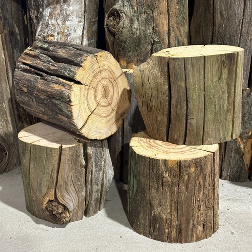 Sweet chestnut cookie log - sweet,