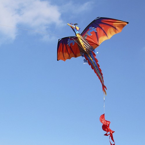 Inch dragon kite - dragon,