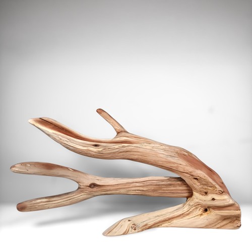 Manzanita driftwood - 30",