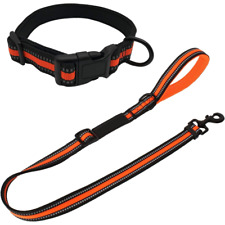 Dog Lead and Collar Set Strong
