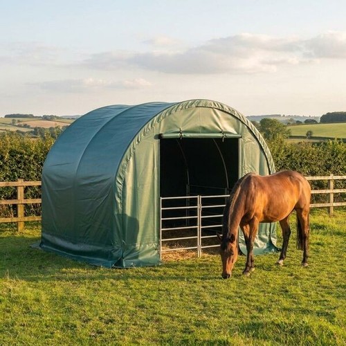 Tall horse field - tall,