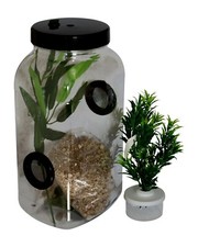 Stick Insect,Leaf Insect Twin Vent Enclosure With Mini Twig Pot & Substrate 