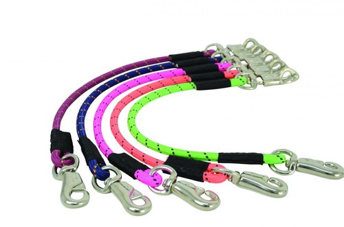 Trailer tie horses - trailer,
