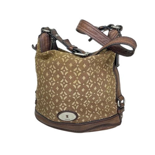 Fossil large maddox - fossil, brown