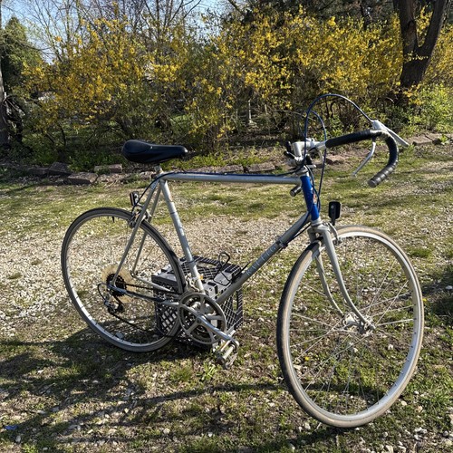 Vintage raleigh record road - raleigh,