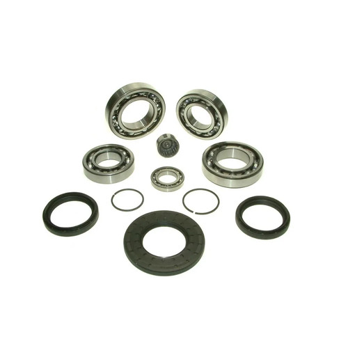 Overhaul kit transfer - overhaul,