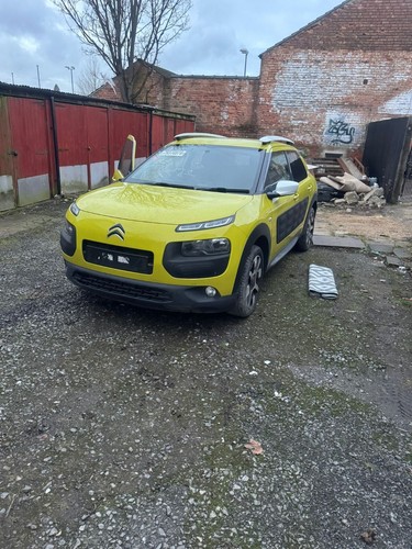 Citroen cactus 2016 - cactus,