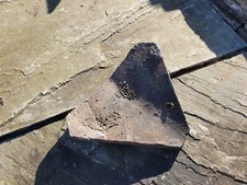 Staffordshire Blue Rosemary