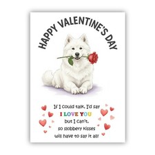 Samoyed Dog Valentine's Day