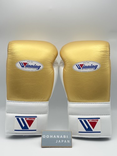 Winning boxing gloves - winning,