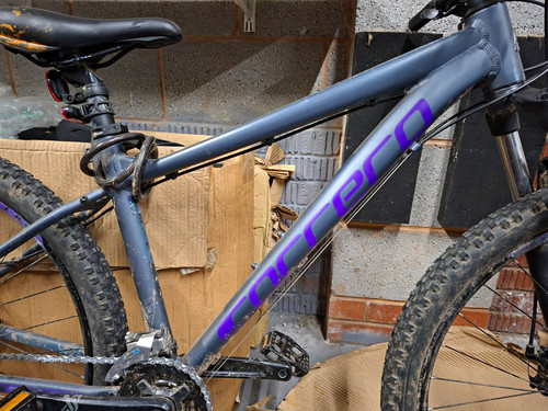 Carrera hardtail mountain - carrera,