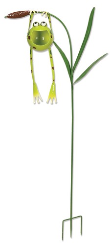 Sunset vista designs - sunset, froggy