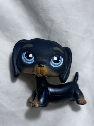 Littlest pet shop 325 - pet, black