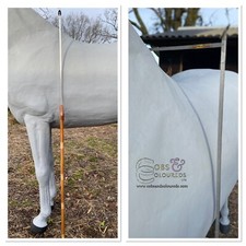 EQUESTRIAN MEASURING STICK CANE, IN HANDS & CMS, CANE HANDLE *FREE POSTAGE*