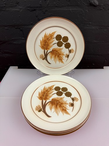 Denby cotswold dinner - denby, plates
