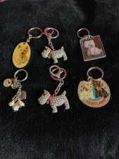 Set Of 6 West Highland Terrier