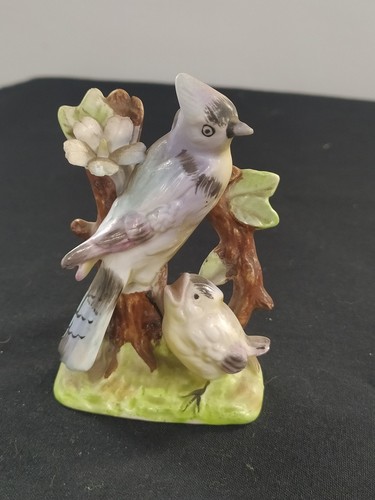 Blue jay bird - +, ornament