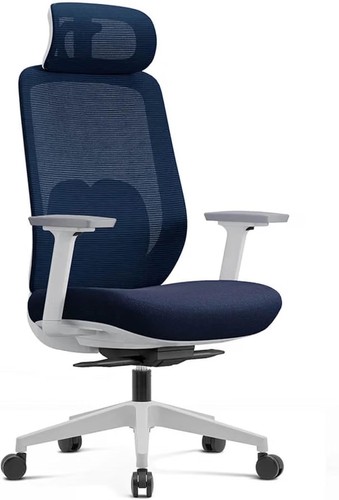Ergonomic blue mesh - ergonomic,