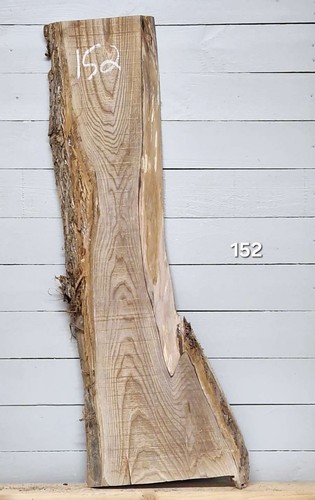 Elm live edge timber 1240mm - elm, x
