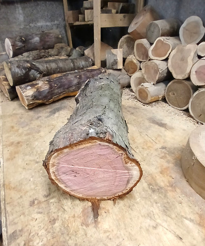 Fully seasoned large sequoia - fully,