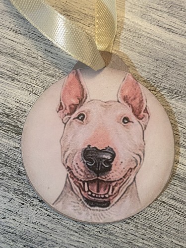 Bull terrier dog - bull,