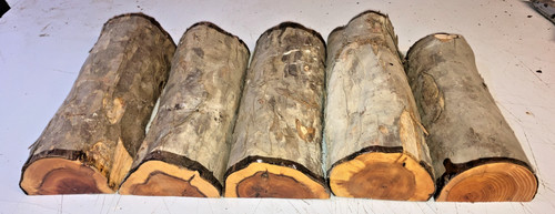 Half logs 5pcs lot - 5pcs, yew