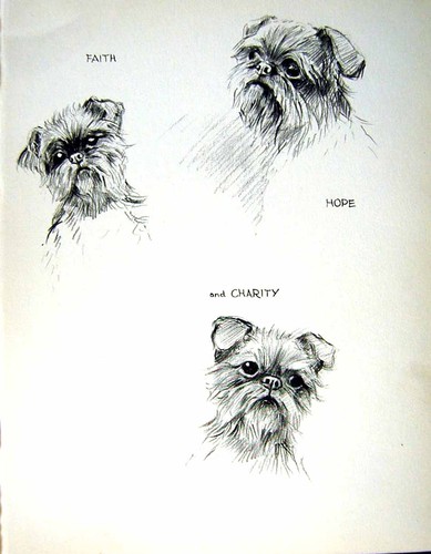 Old vintage print - old, dogs
