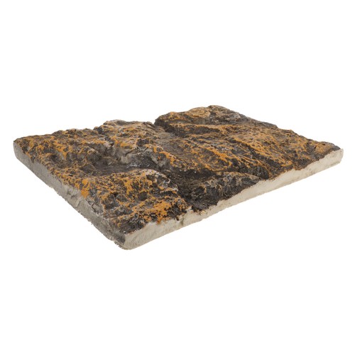 Reptile habitat terrarium - reptile,