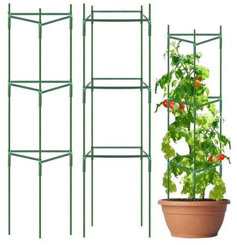 Pack tomato plant support - pack,