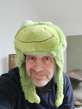 Pillow Pets Green Frog Hat