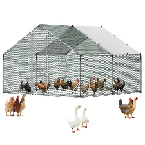 Uimoso spacious metal chicken - spacious,