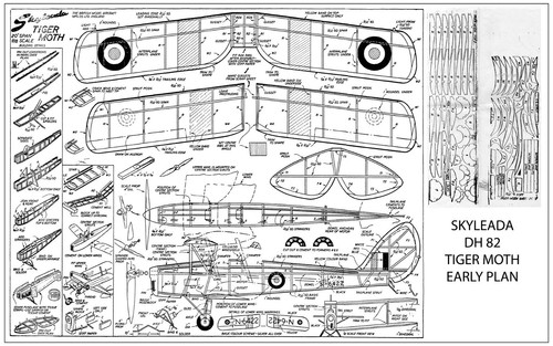 Skyleada tiger moth - moth, plan