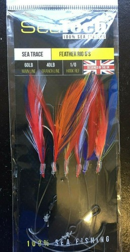 Mackerel cod feathers sea - 5,